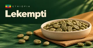 Lekempti