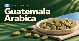 Guatemala SHB
