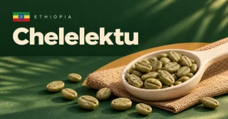 Chelelektu