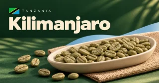 Kilimanjaro