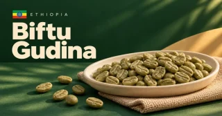 Biftu Gudina