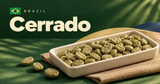 Cerrado