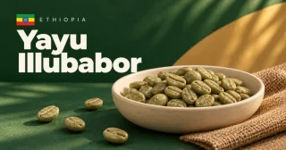 Yayu Illubabor