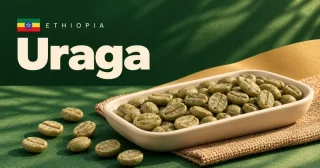 Uraga