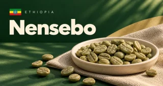 Nensebo