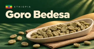 Goro Bedesa