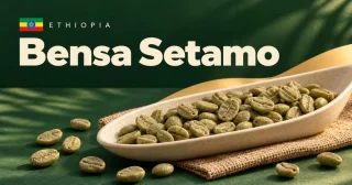 Bensa Setamo