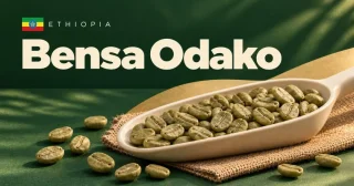 Bensa Odako