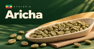 Aricha