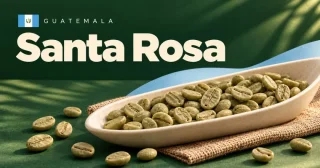 Santa Rosa
