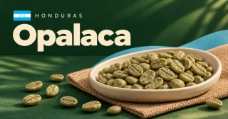 Opalaca