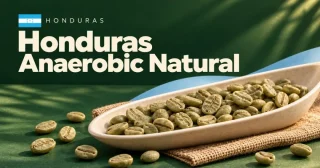 Honduras Anaerobic Natural