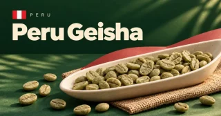 Peru Geisha