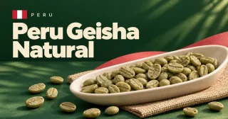 Peru Geisha Natural