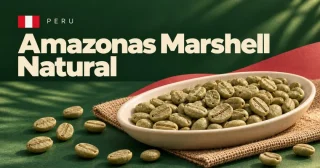 Amazonas Marshell Natural