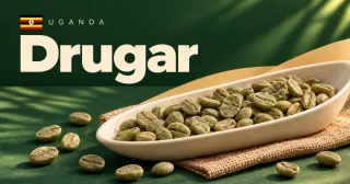Drugar
