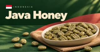 Java Honey