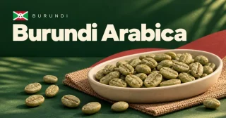 Burundi Arabica