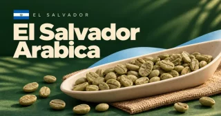 El Salvador Arabica