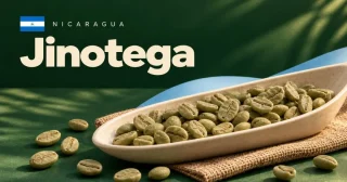 Jinotega
