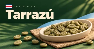 Tarrazú