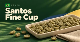 Santos Fine Cup