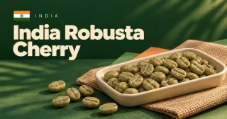 Hindistan Robusta Cherry