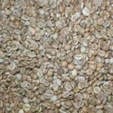 Uganda Robusta